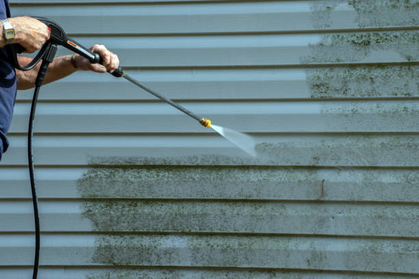 Best Concrete Sealing  in Harristown, IL