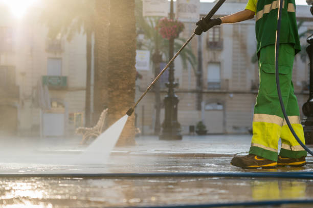 Best Gutter Cleaning  in Harristown, IL